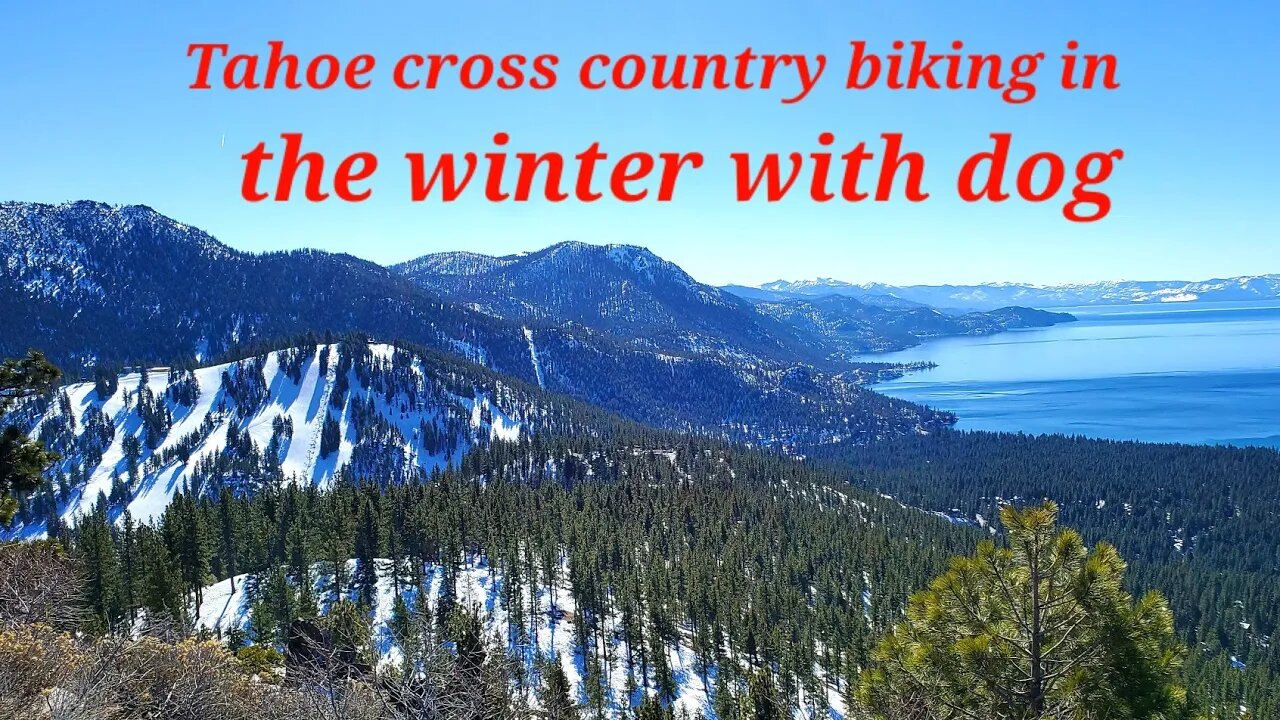 A day at Tahoe Meadow Rose Cross country skiing course--free and perfect