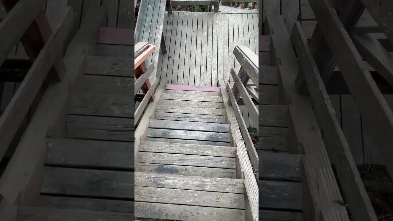 Drain inspection down SKETCHY bluff stairs!