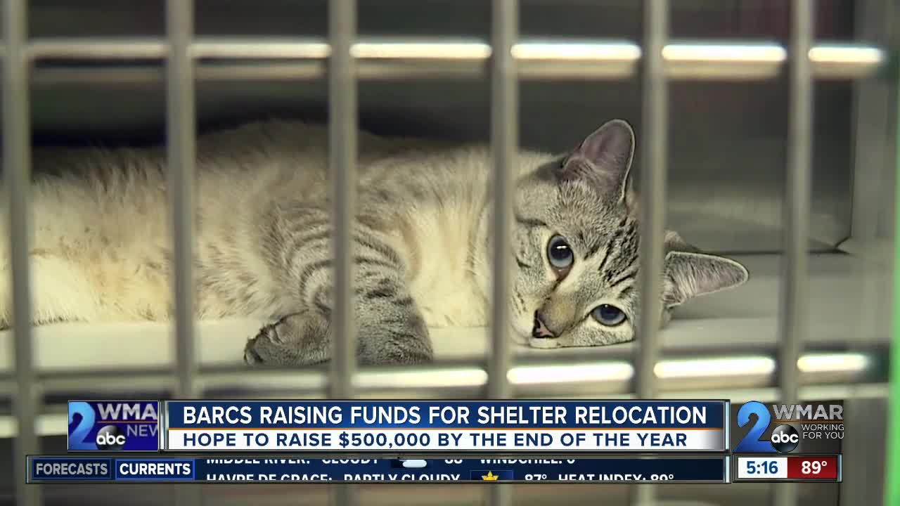 BARCS raising money to outfit new shelter in Cherry Hill