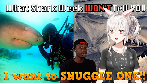 Wait sharks are CUDDLY?!? || Casual Geographic react