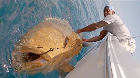 Fishing!!!Monster Goliath Groupers with NFL Linebacker Sam Barrington