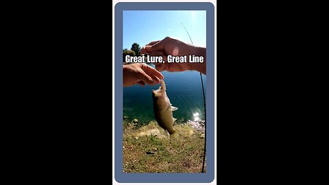 Great Lure, Great Line, Great Times