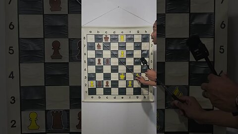 Did You Find The Checkmate in 1?