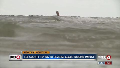 Lee County trying to reverse algae tourism impact