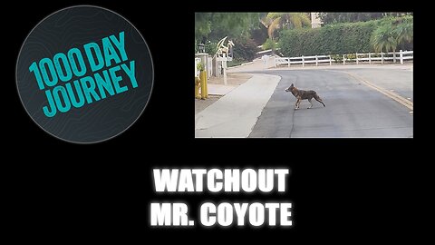 1000 Day Journey 0456 Watchout Mr. Coyote