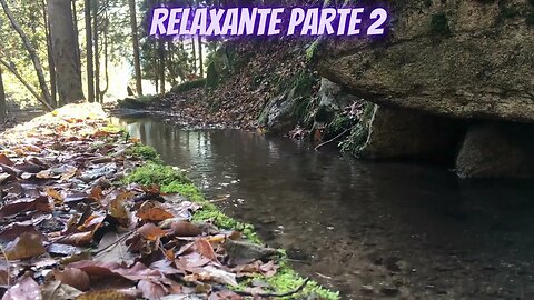 Música Calmante, Relaxado.