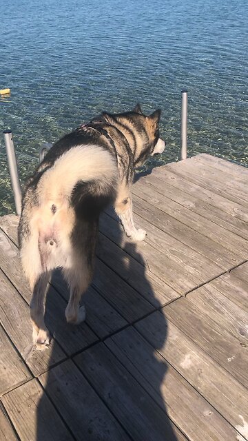 Saturday Oct 19, Follow the tradition of hard work we gave you.