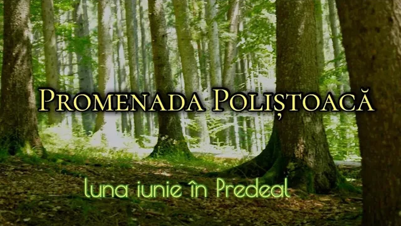 Promenada Poliștoacă în luna iunie