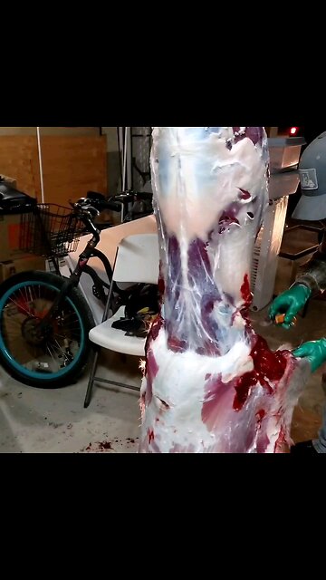 skinning a whitetail deer.