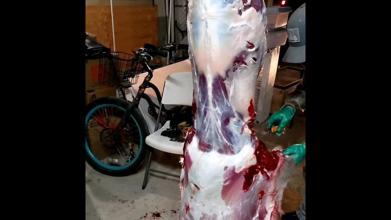 skinning a whitetail deer.