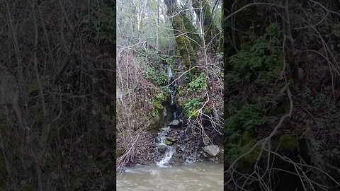 New Years Waterfall #1