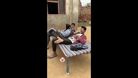 funny videos