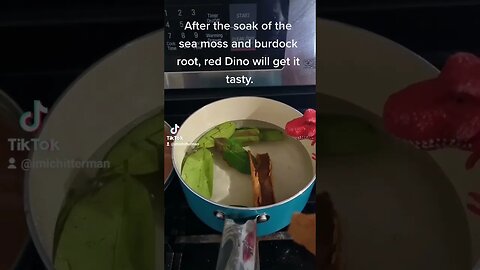 Red Dino sea moss Gel