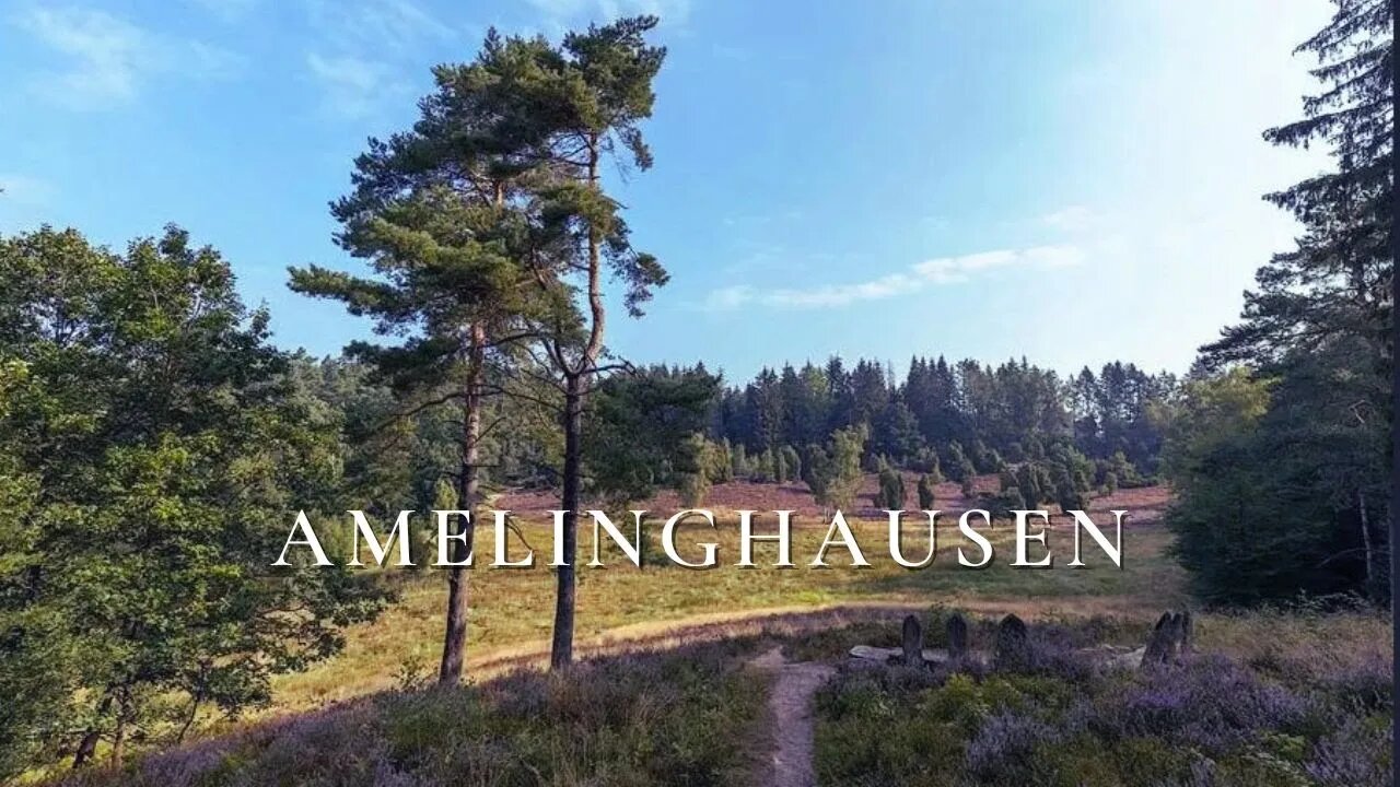 18 km solo hike around Amelinghausen, Germany | The heath landscapes of the Lueneburger Heide