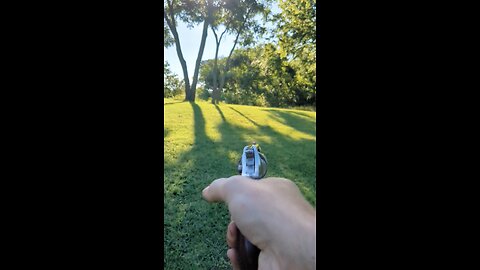 Ruger SP-101, A One Hitter Quitter