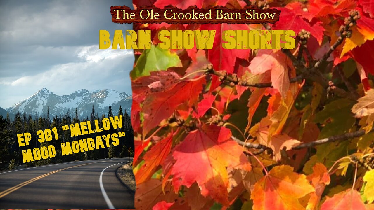 “Barn Show Shorts” Ep. #381 “Mellow Mood Mondays”