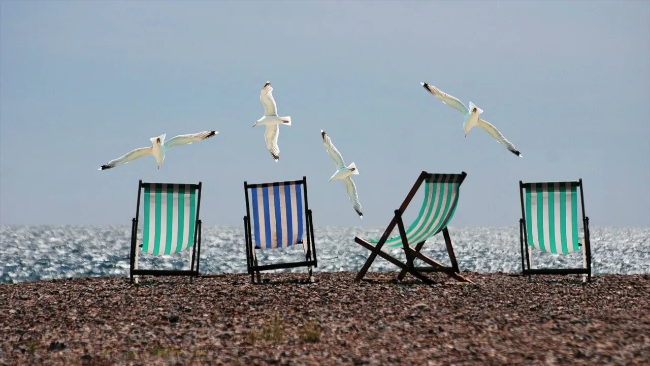 {ASMR} Seagull Waves Crashing Beach - 1 Hour Ambience Tingle Sounds Sleep Relax Study (NO TALKING)