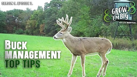 Buck Management Do’s and Don’ts