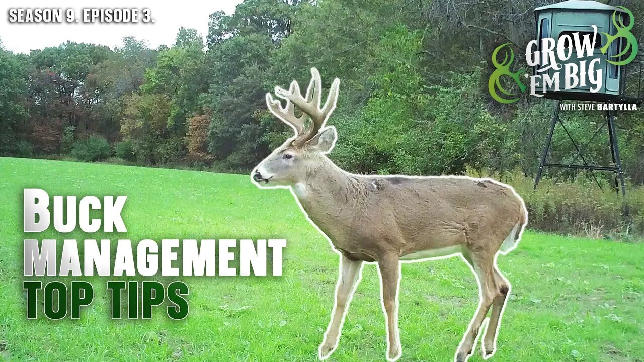 Buck Management Do’s and Don’ts