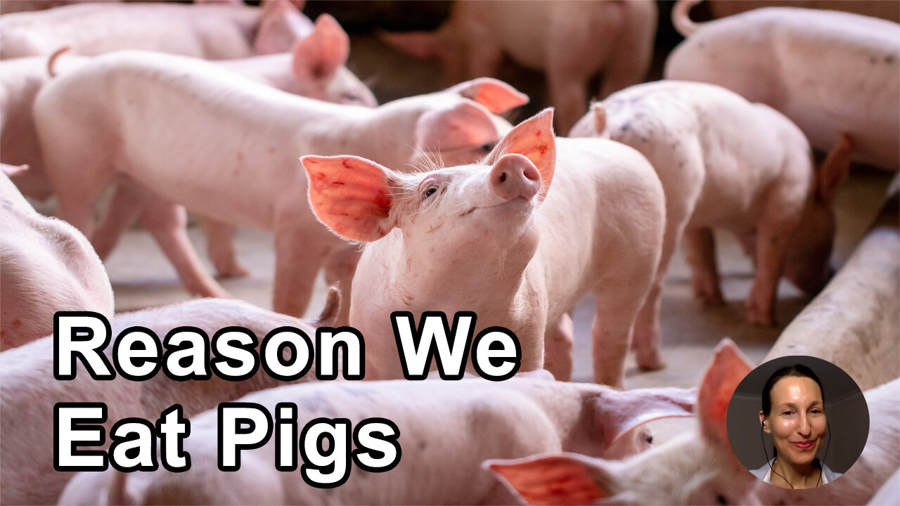 The Only Reason We Eat Pigs And Not Dogs Is Because Of Our Belief System - Melanie Joy, PhD
