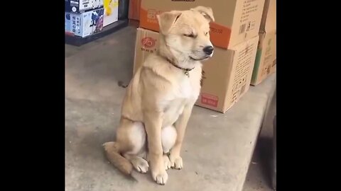 Mood…