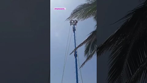 I Kinda Want To See Him Fall