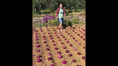 funny#ViralVideo#satisfing#amazing#100Million