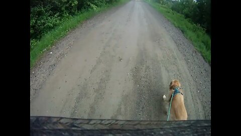June 15th, 58 degrees, bug net hat, camera weighs it down too much, Flynn and I cu walk short.