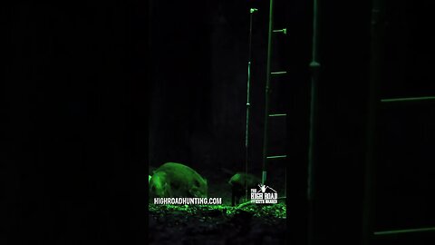 Airgun ONE SHOT DROP #shorts