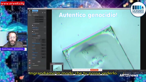 Autentico genocidio!
