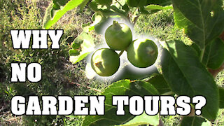 Why I have not had any garden tours this year...