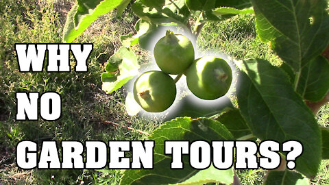 Why I have not had any garden tours this year...
