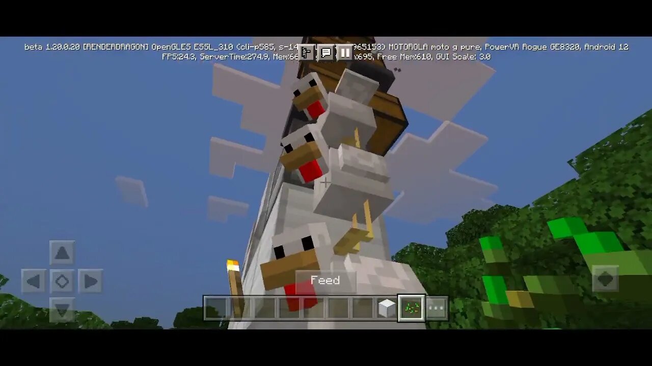 GOOD MORNING MINECRAFT CHICKEN WATERFALL 🐓🐓🐓