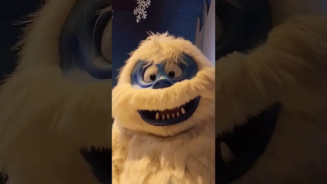 Who Can Say No To Bumble | SeaWorld Christmas Celebration.