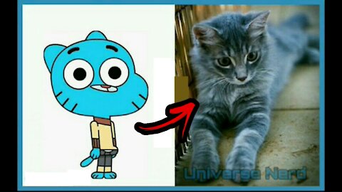 The Amazing World of Gumball in Real Life!