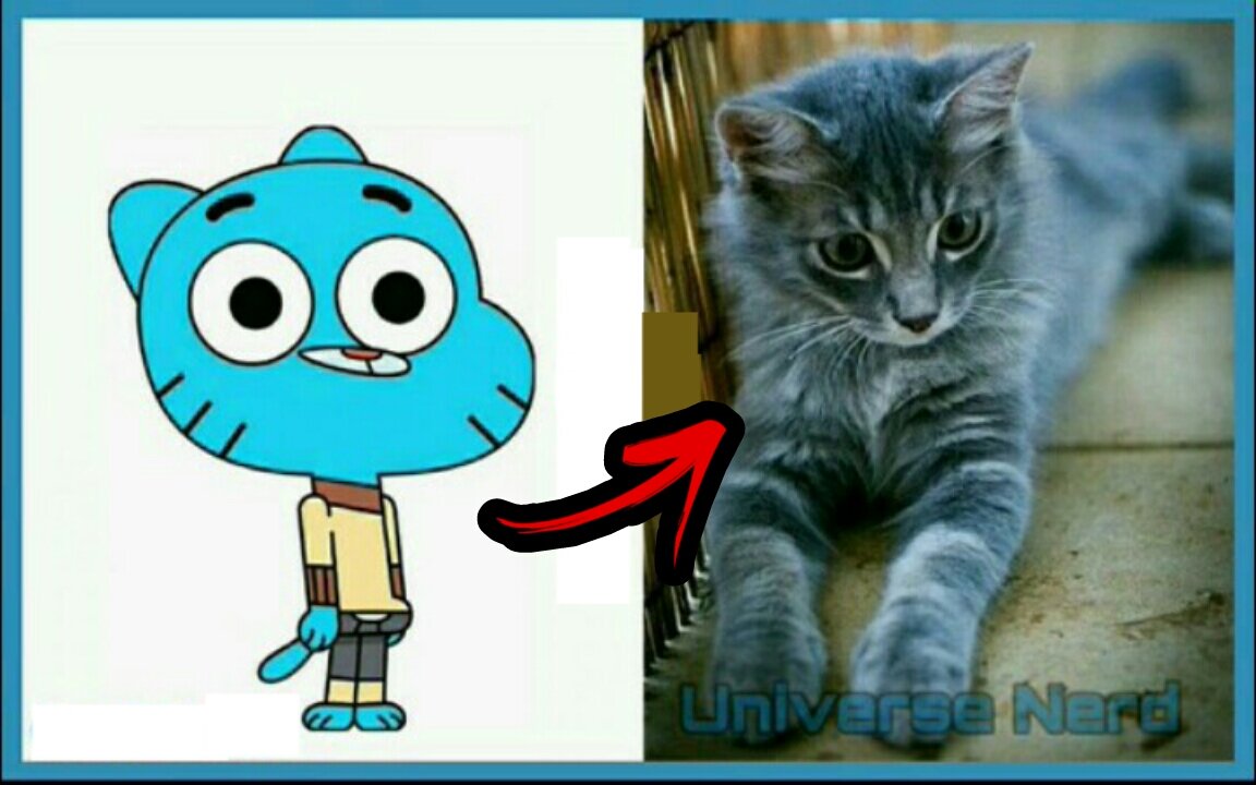 The Amazing World of Gumball in Real Life!
