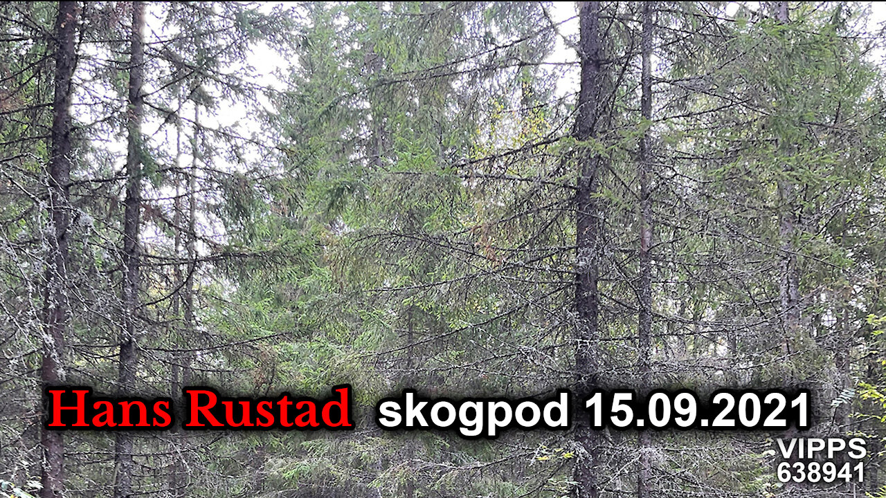 Skogpod 15. september: Elite og mobb mot folket