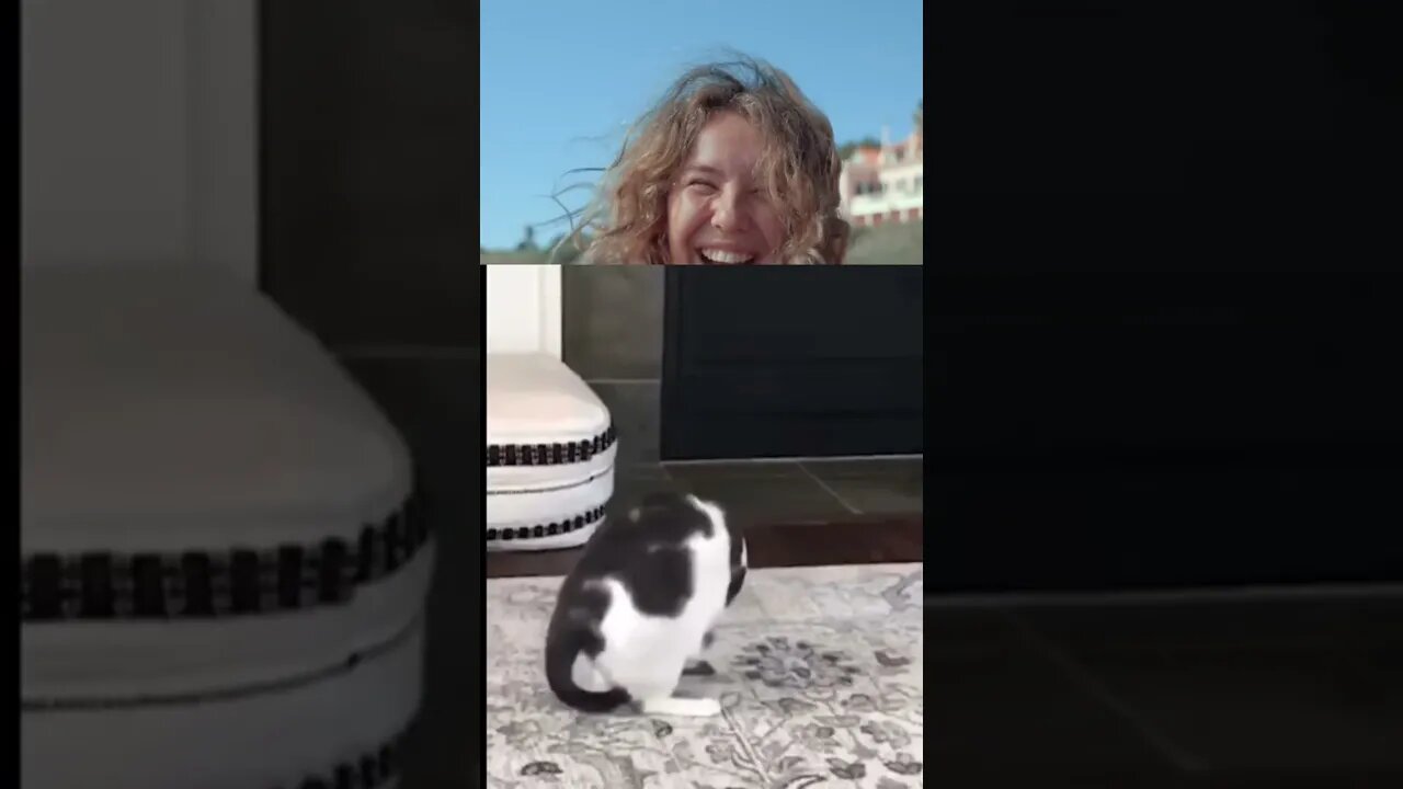 funny animal video# funny