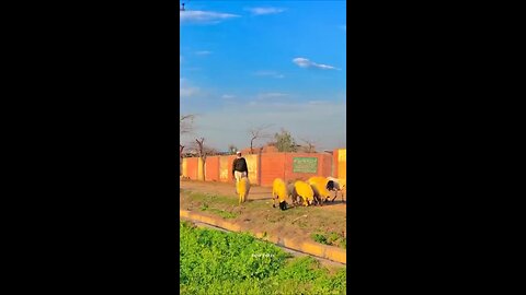 new video bahut pyari 26 _2024