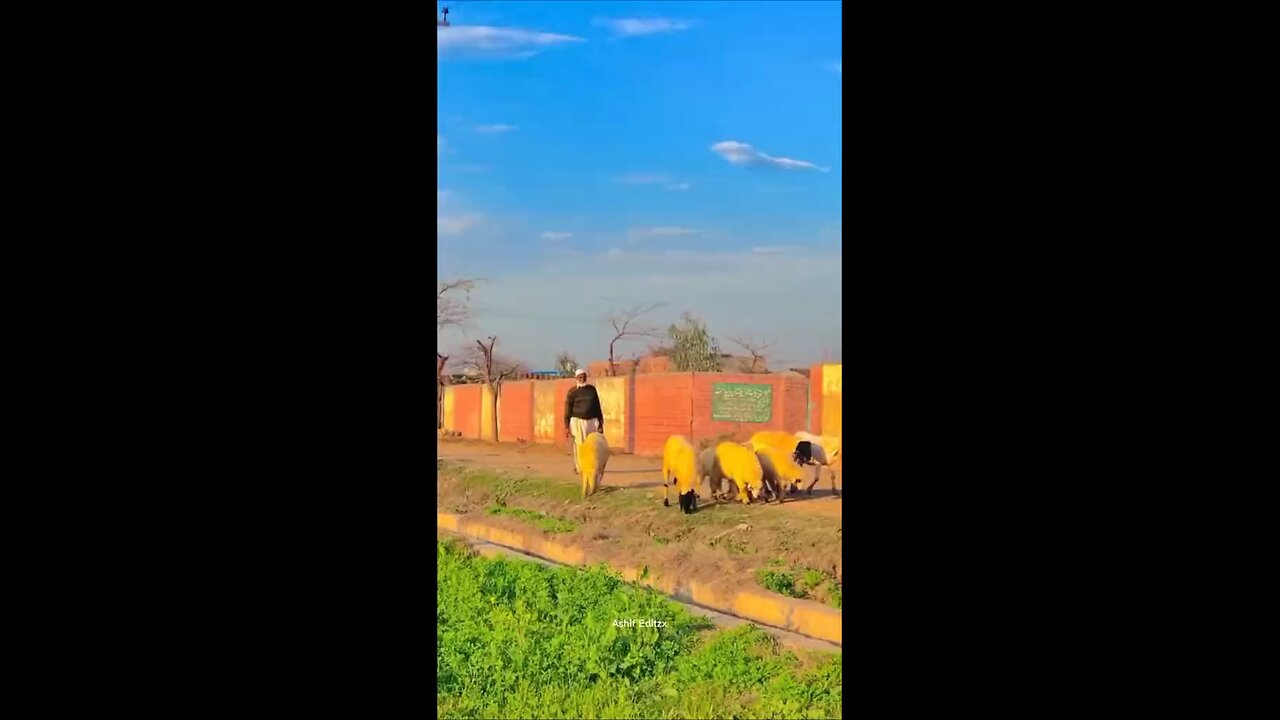 new video bahut pyari 26 _2024