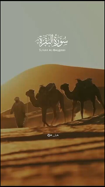 Surah Al Baqrah Verse No.14!Suart Al Baqrah Ayat no.14!08/03/2024!@MVM.25 Main25