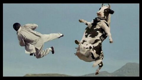 kung fu cow smackdown kick