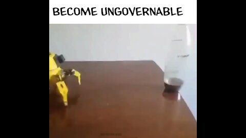 Become ungovernable