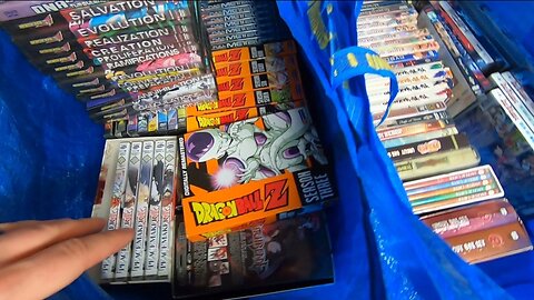 I Bought The Entire Collection