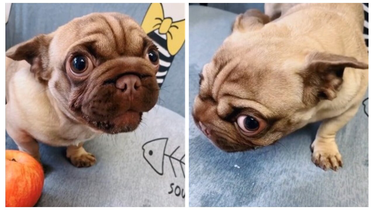 The expression that keeps people away