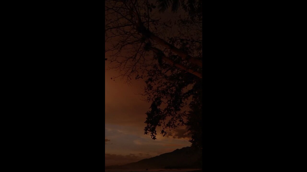 Punjabi song