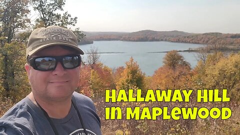 Hallaway Hill Overlook in Maplewood State Park