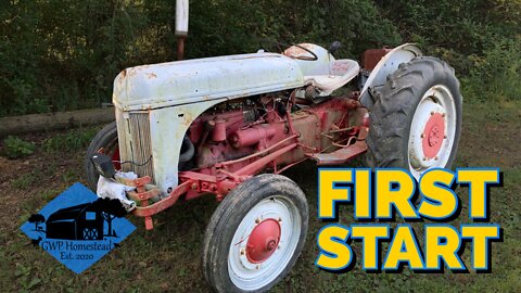 Ford 2N // First Start in 4+ Years!