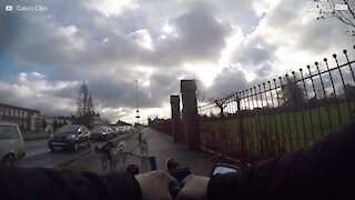 Huskies tar med sig husse på en speciell promenad