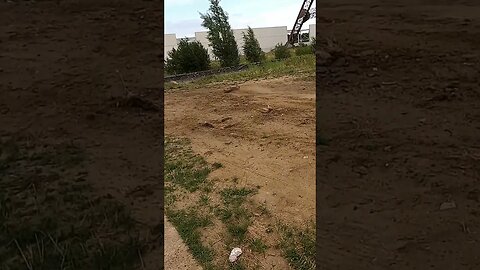 Off-road Felony